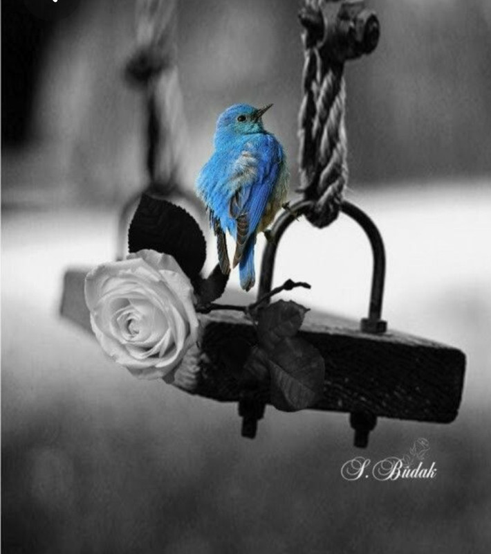 Screenshot_20230416_010727_Pinterest