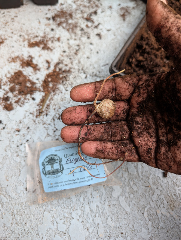 PXL 20251213 204626040