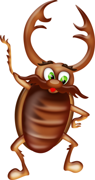 Beetle dance61