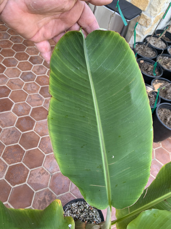 97DF2A31-BF91-4F84-B01C-4712850E9C86