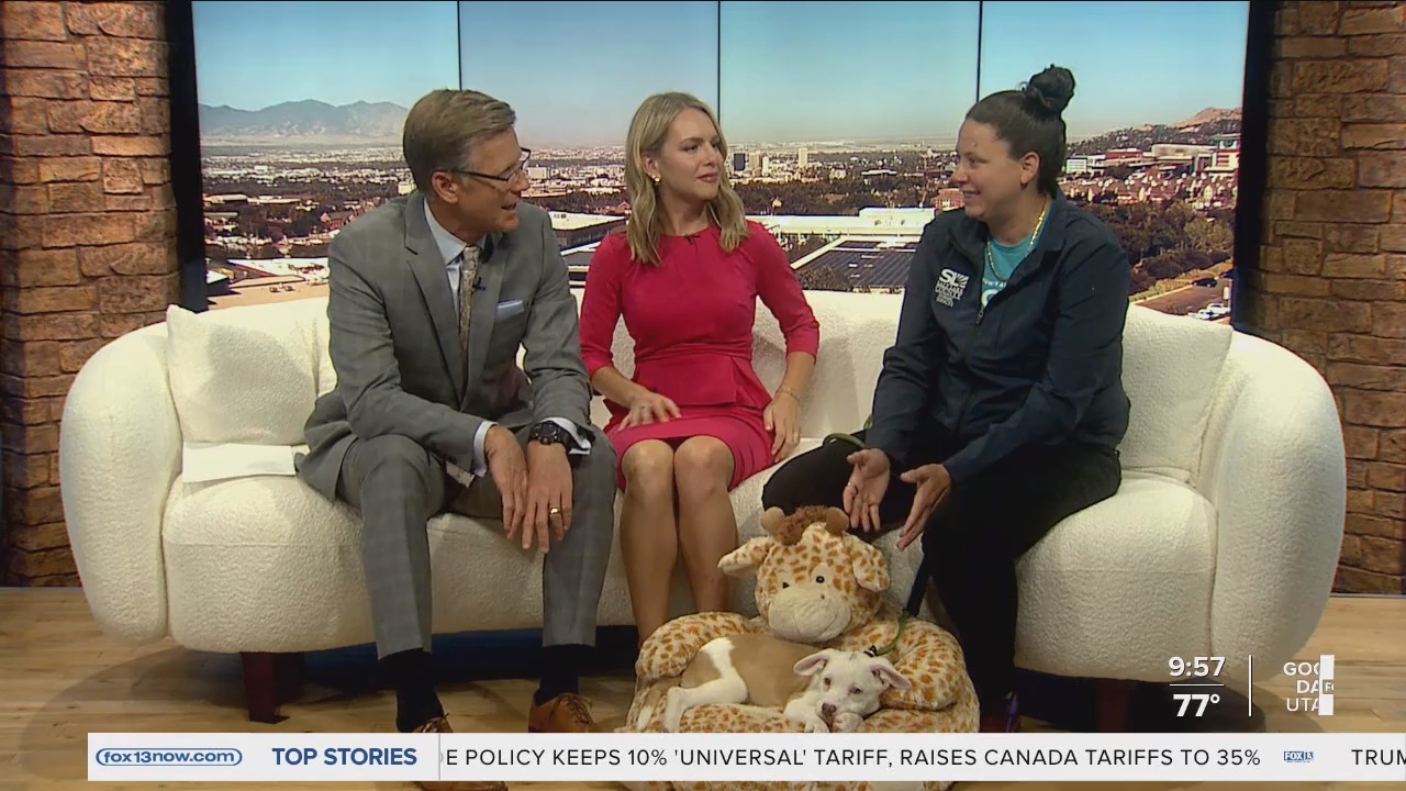 08.01 - 16.00.00 - FOX13 News  Good Day Utah 9AM  ᴺᵉʷ. Utah news, wea....ts_snapshot_00.58.58.215