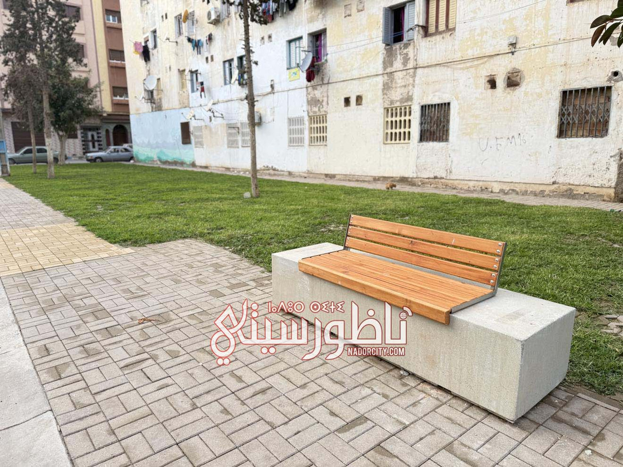 609411441-888963580384238-3918718353491581852-n