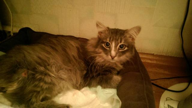 IMG-7ac0af25b995f533325a651bab041db0-V