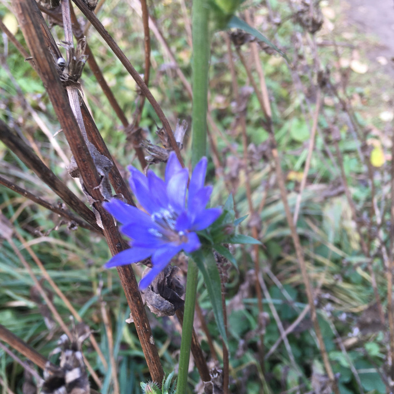 последнее с айфона 022