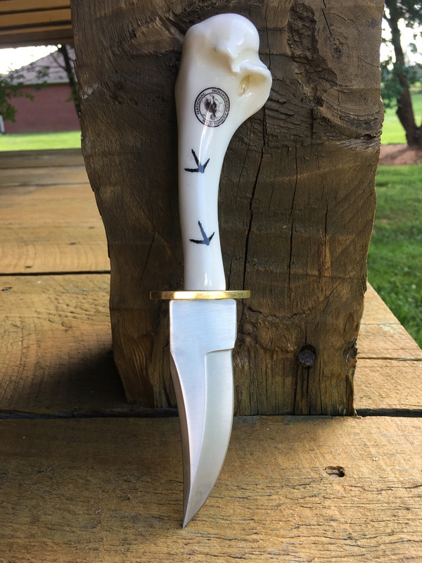 525DD12D-0A1F-4797-86F5-90149EE1B459