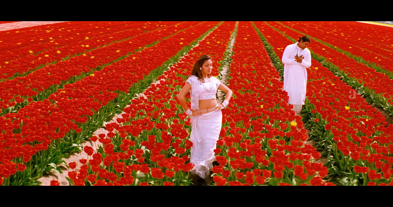 VideoCapture_20241122-195238