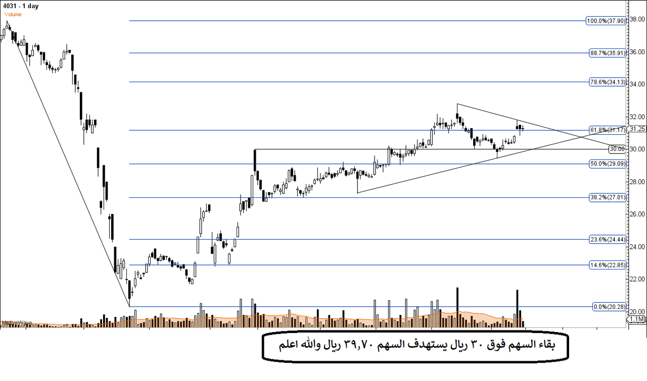 4031 - Primary Analysis - Oct-19 0133 AM (1 day)