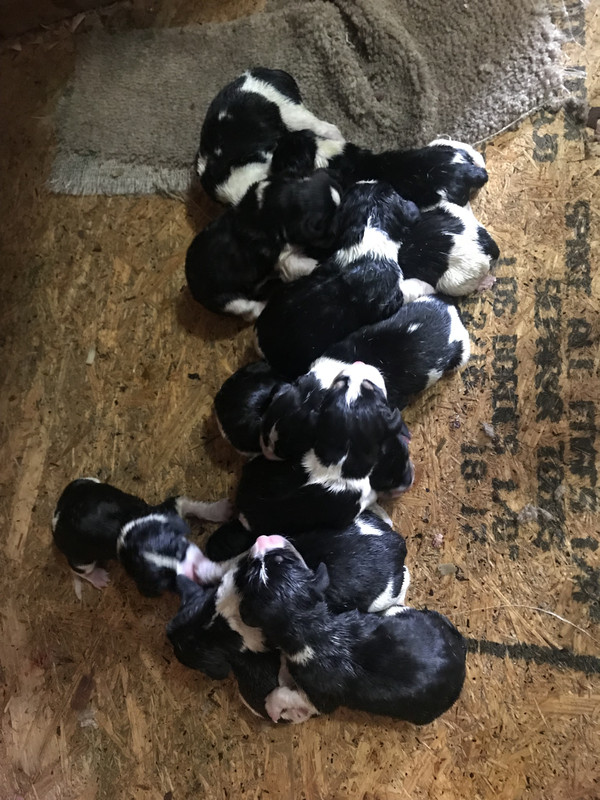 6049563A-A555-4E71-A236-DFE520C181F7