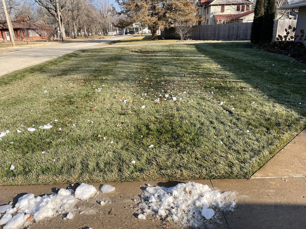 31A74A72-B60A-4A40-900D-71248B768825