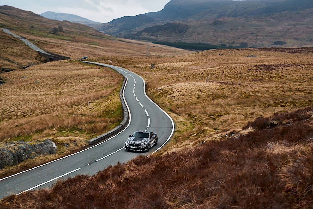 BMW 8 Series Coupe (32)