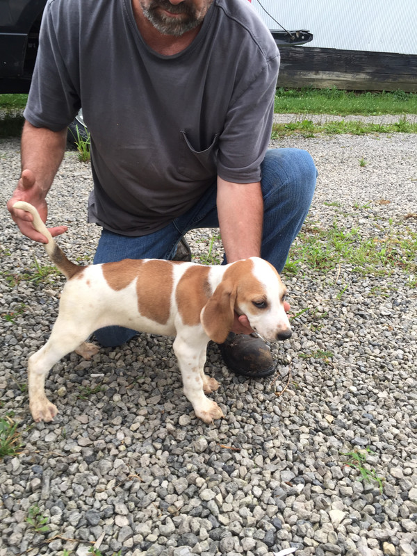 48462B9C-C8B2-4CE8-9F1C-A765C087B9B9