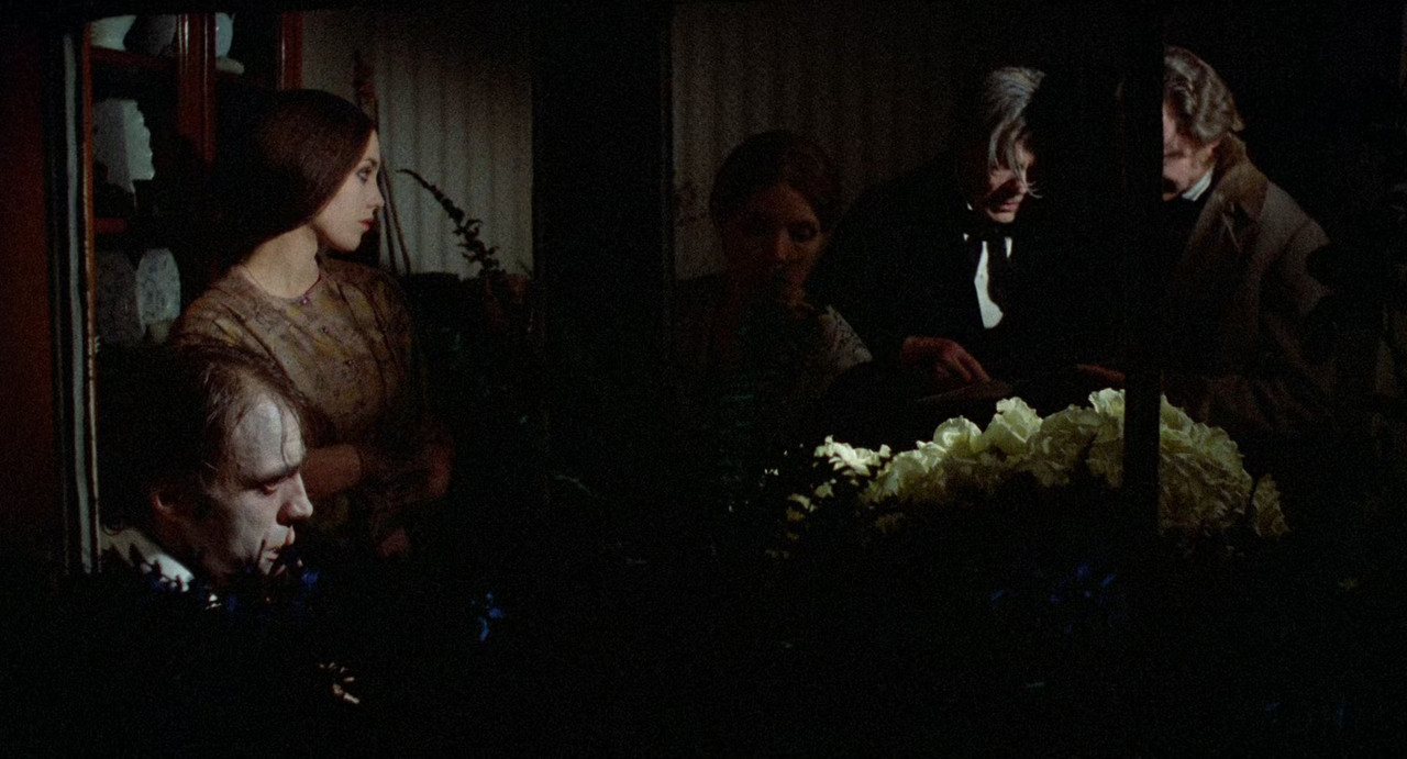 Nosferatu the Vampyre 1979 WHC (1080p x265 10bit