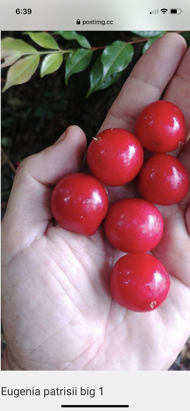 1CCB7476-121C-4941-A4DA-34C4D3DB32C4