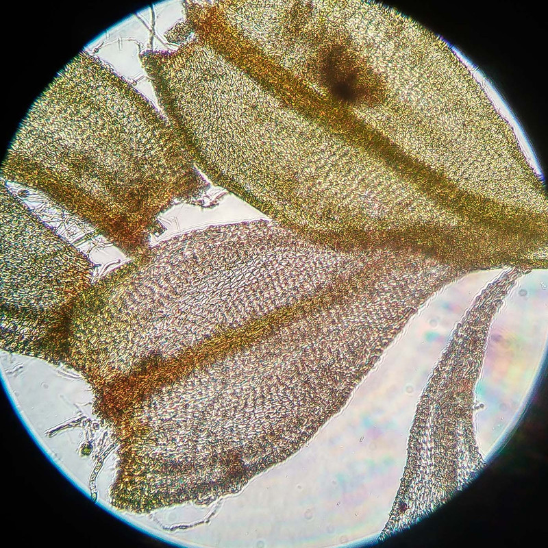 IMG 20250615 221501 HDR