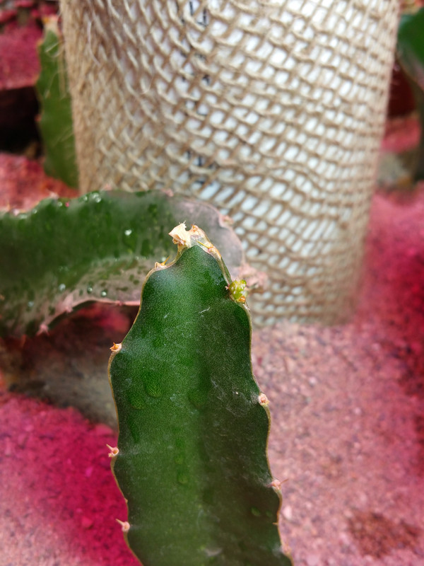 20150410_082406