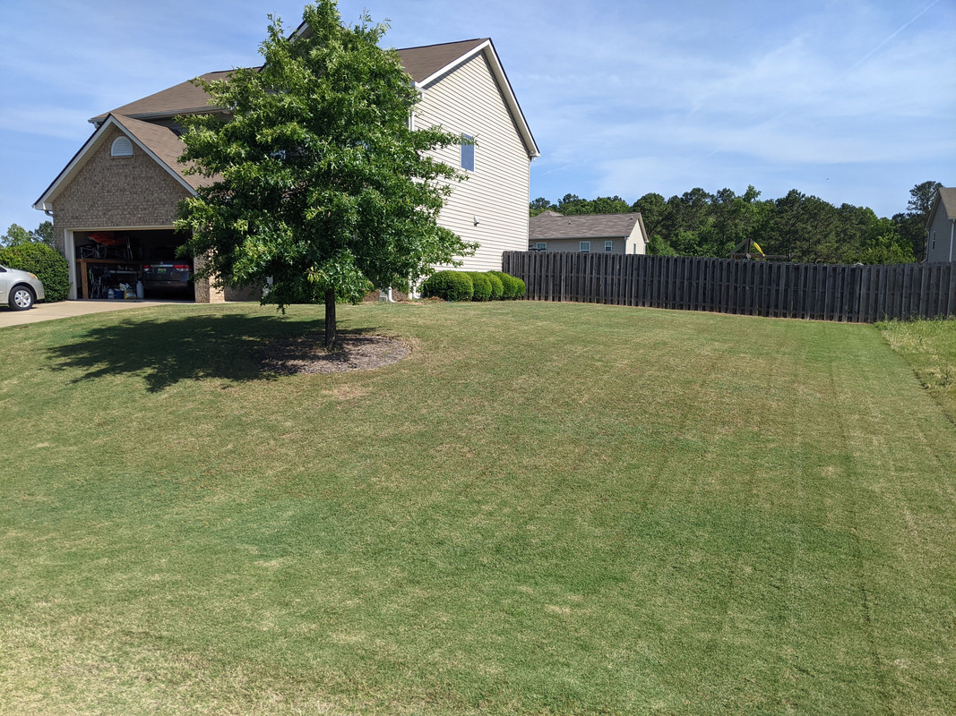 2021.05.21 front yard 1