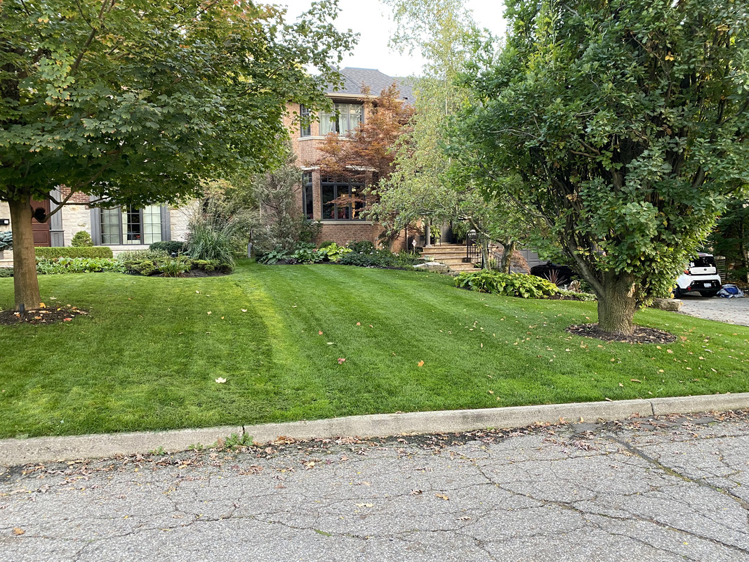 550F8B44-6777-4DCD-9DED-3DD0D8733F29