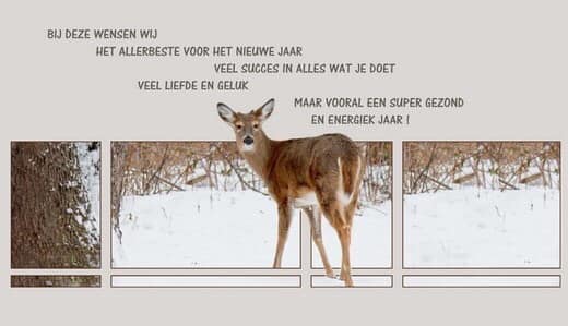 472003908-9667505399944276-3131829500989280925-n.jpgborder=