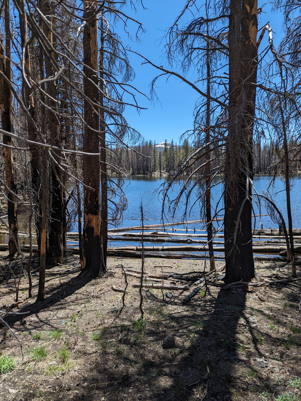 PXL_20250613_211847423