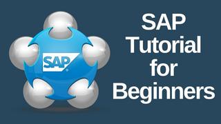 Basics of Sap2000 Beginner Level Course Basics of Sap2000 Beginner Level Course