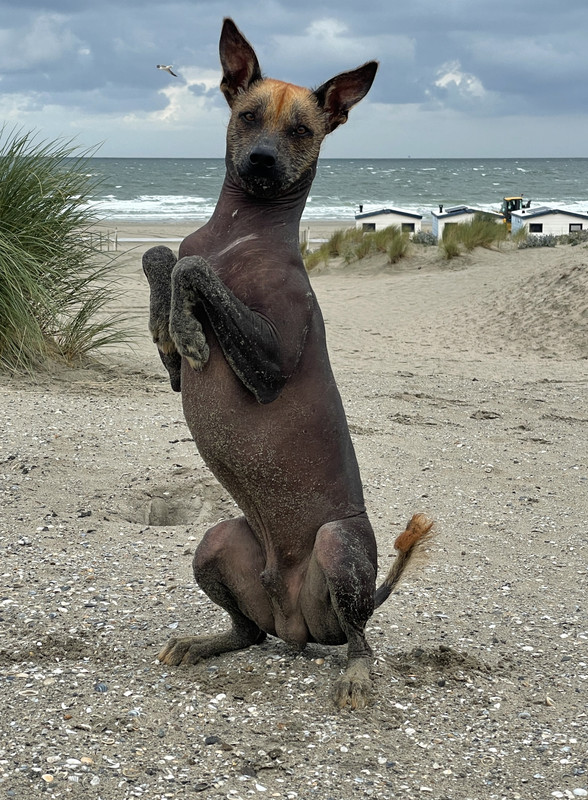 42AF1070-395D-480C-8265-FFE552A7D00A