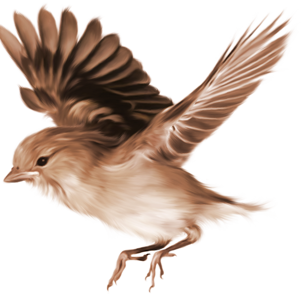 TADD_elements_ShimmerFall (62)