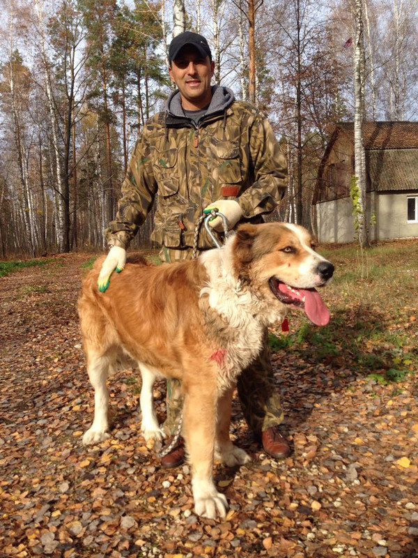 2F5BA5C9-4341-4053-B541-F3BDAAD11976