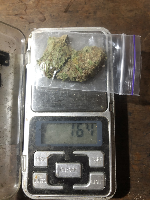 5A6B3557-25F2-4F16-9032-1DDAF9B631A8