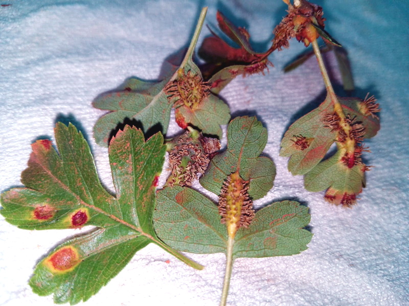 WhatsApp Image 2021-06-09 at 10.34.13 PM (1)