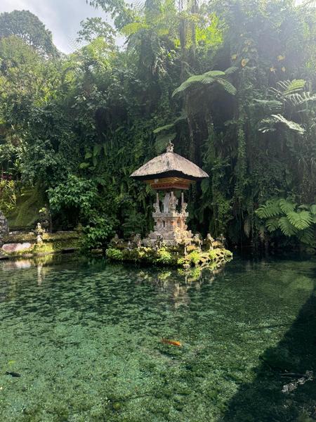 6 Aviones, 3 barcos y 2 trenes, empezando en Estambul y terminando Kuala Lump - Blogs de Indonesia - TERCERA PARADA: BALI (47)