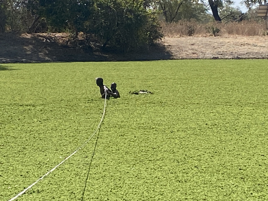 EA726CBA-FC4A-4976-A8E7-C5EEC11BB15A