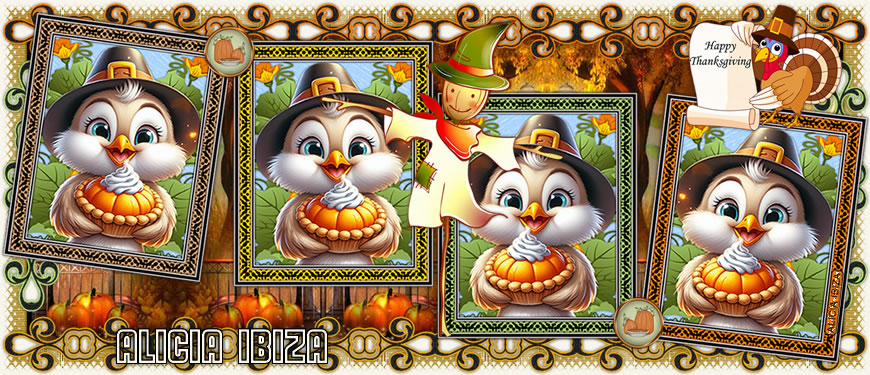 Pavito Feliz aliciaibiza