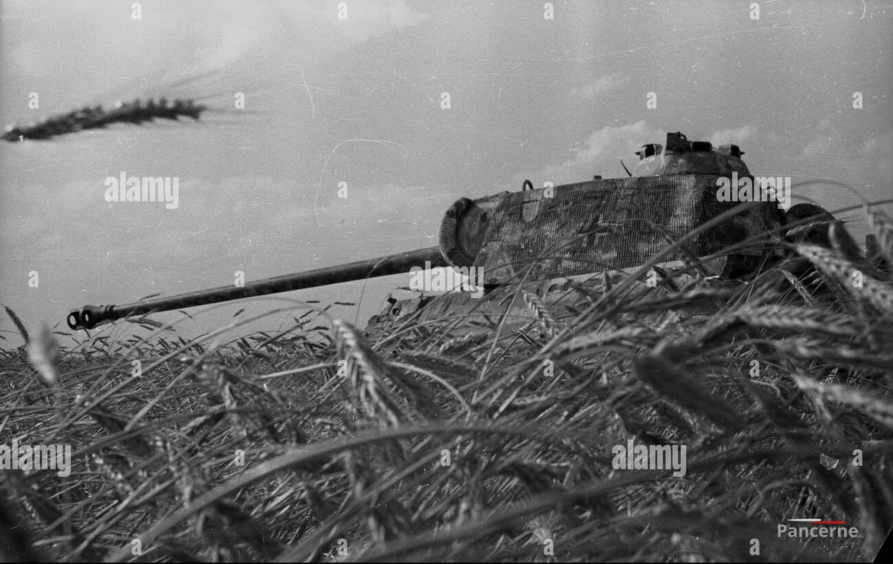 271809945_4696164797176401_6665316083578078846_n (1)