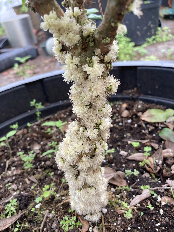 61CF1E22-EB49-477A-8D4D-89C450C504CE