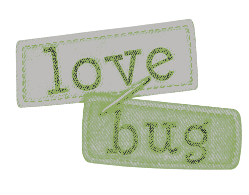 love bug