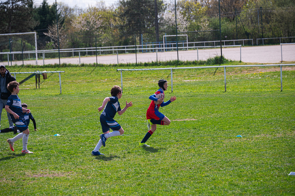 tournoi-de-latlantique-2026-adonis-griffon-50-55181289991-l