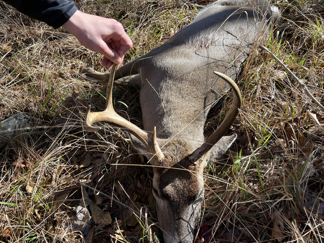 C58E9A71-CD26-4F90-8041-B72623CEF0E1