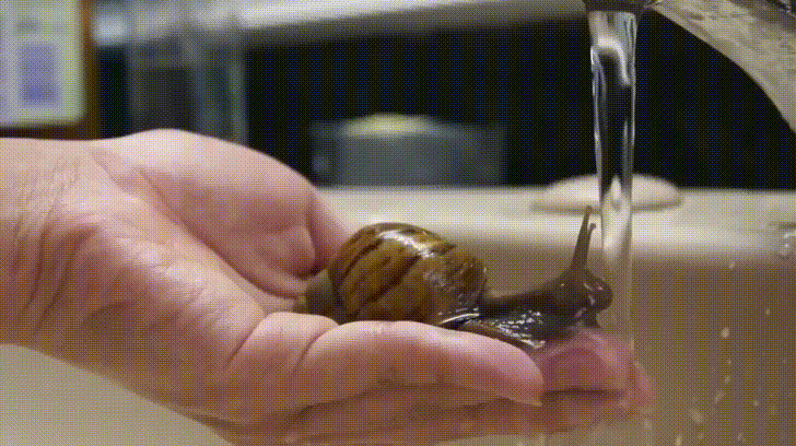 daily-gifdump-3395-14.gif