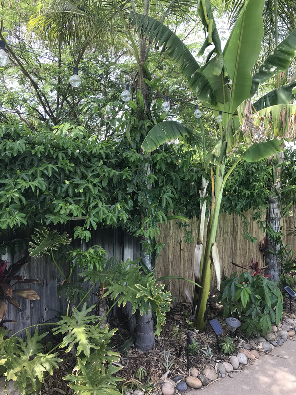 550413A9-81F8-435D-8DB6-4449E5C8DCF4