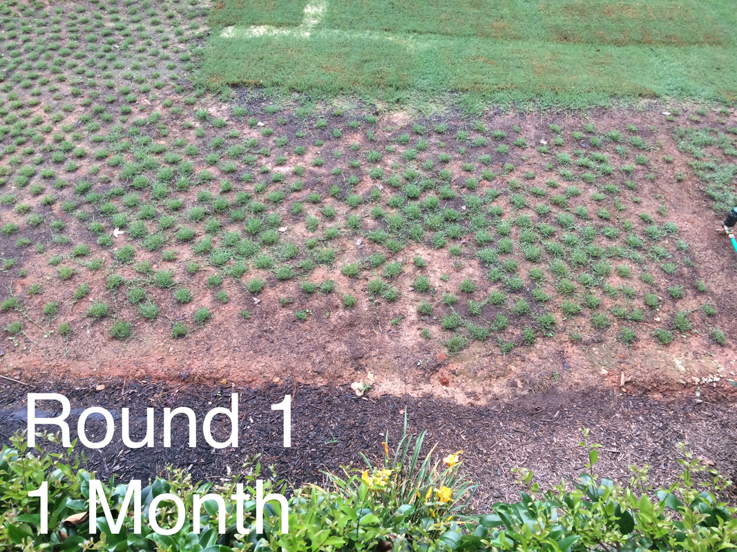 082E9570-8887-4250-891B-36047C794101