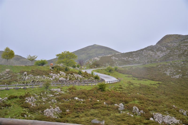 PICOS DE EUROPA-16-5-2013-LEON/ASTURIAS/CANTABRIA - Paseando por España-1991/2016 (3)