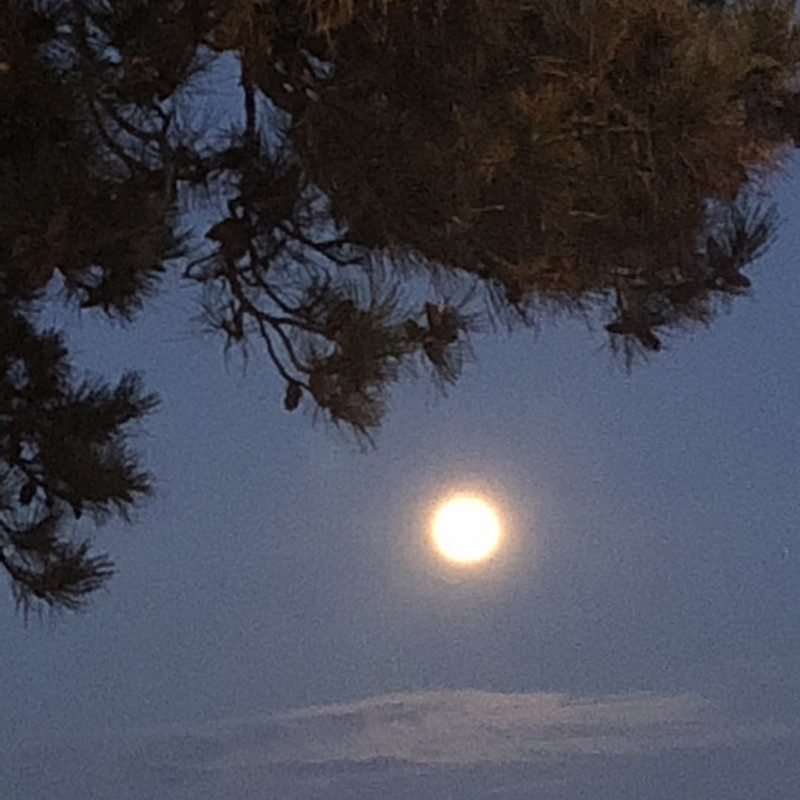 4064D562-1B49-4FE1-B484-AA0E935D8B58