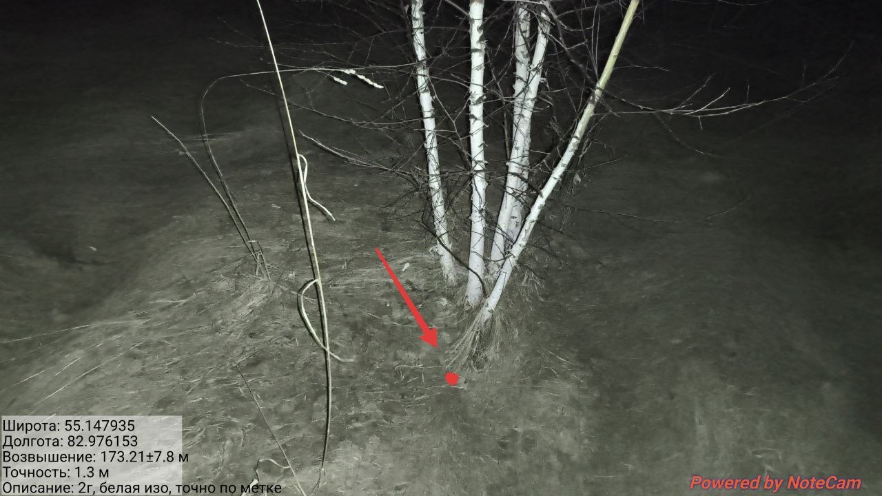 photo 2026 04 09 22 43 31