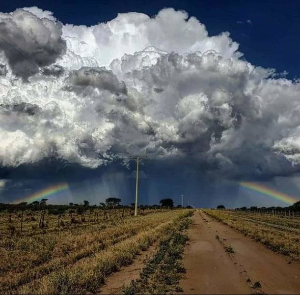 Sorprendente-42