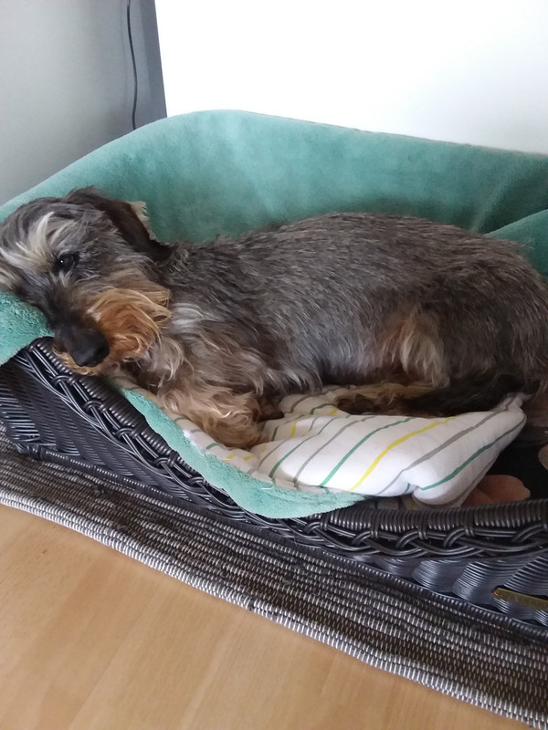 [Image: 20220302-101009.jpg]