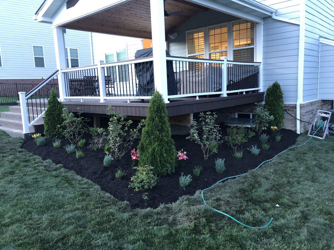 Elevated Deck Border - Picking Arbs and Filler Bushes | Lawn Care Forum, image size:1067x800