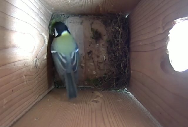 626148FA-56F3-4E11-802B-7EC5379622A3