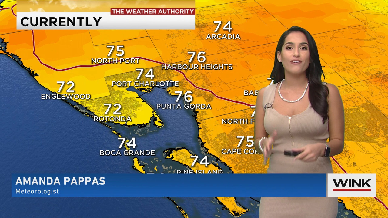 02.09 - 15.00.00 - WINK News at 10 00 a.m..ts_snapshot_00.15.34.647