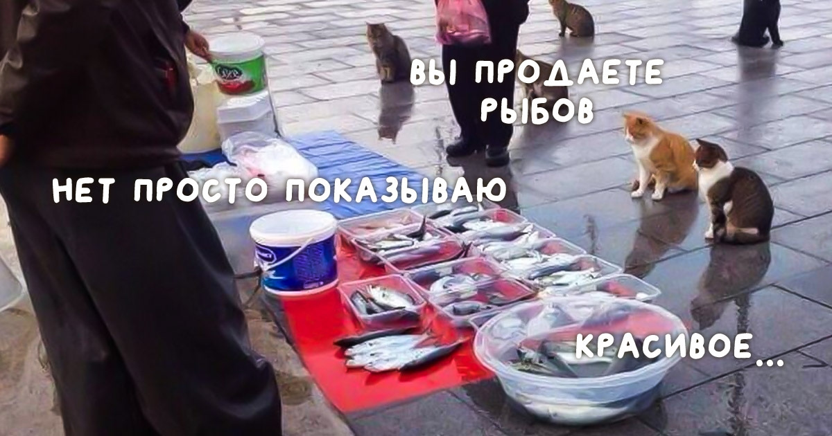 Продашь Или Продаж