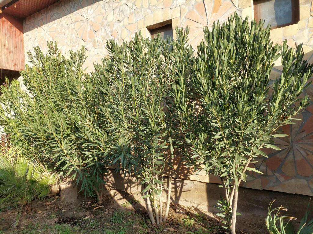 0ac60c3b 03b0 485c b64d bf67b5622cdf